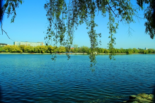 湖泊