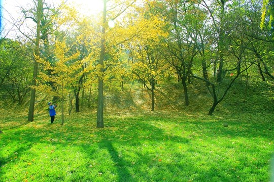 秋景