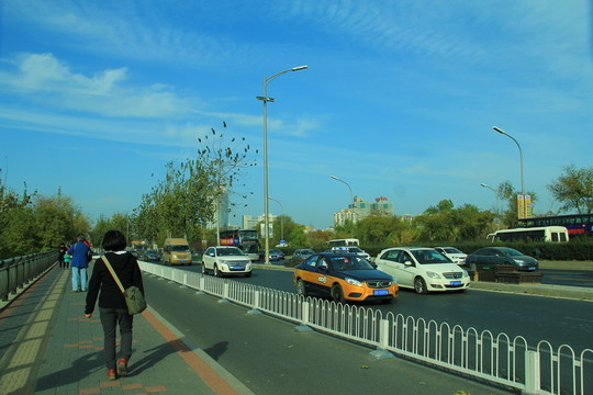 馬路