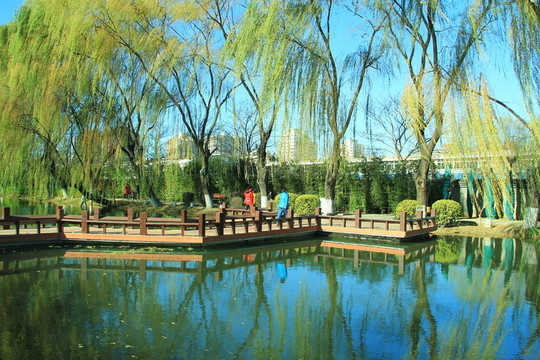 河岸