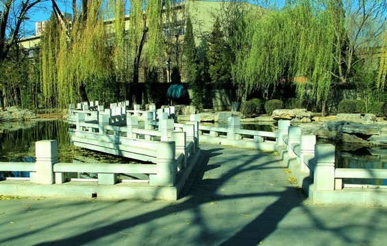 曲橋