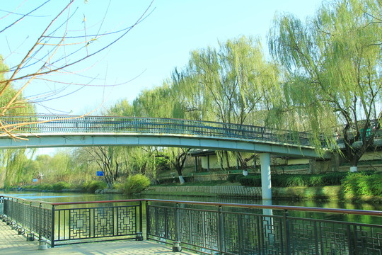 濱水綠道