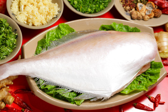 極品耗兒魚 耗兒魚