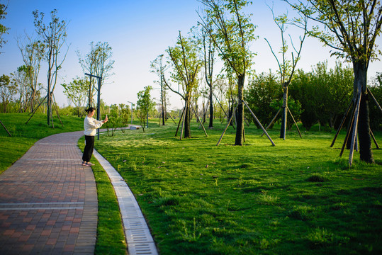 公園
