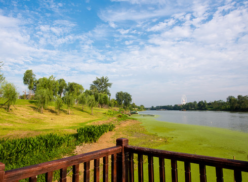濕地公園
