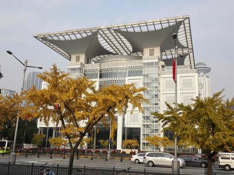 金燦燦的銀杏樹