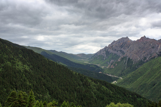 四川黃龍高山峽谷森林