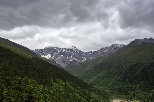 四川黃龍雪山峽谷森林