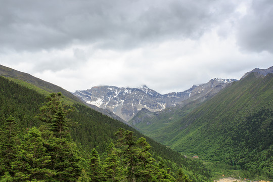 四川黃龍雪山峽谷森林