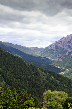 四川黃龍高山峽谷森林