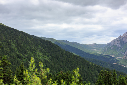 四川黃龍高山峽谷森林