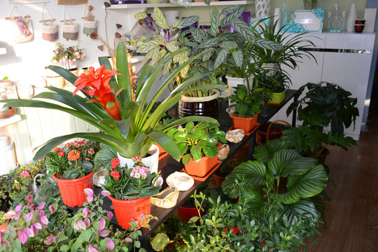 花店一角