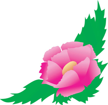 角落的花藝設(shè)計