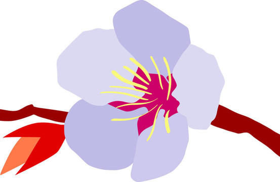 杏花插圖