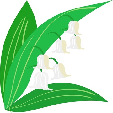 山谷莉莉插圖