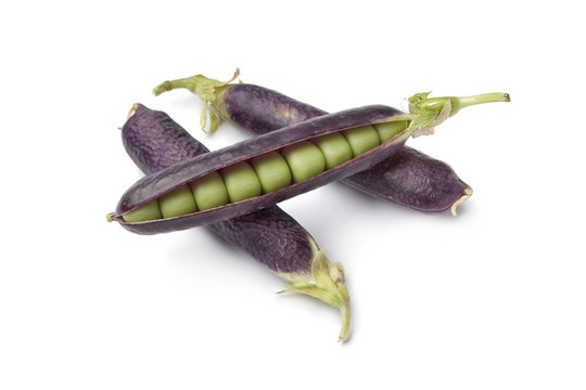 紫色莢豌豆