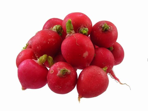 小蘿卜