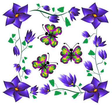 蝴蝶花