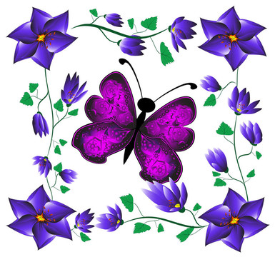 蝴蝶花