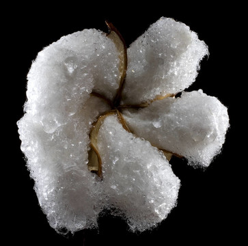 雨的收獲