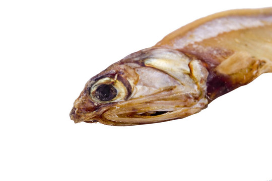 干魚