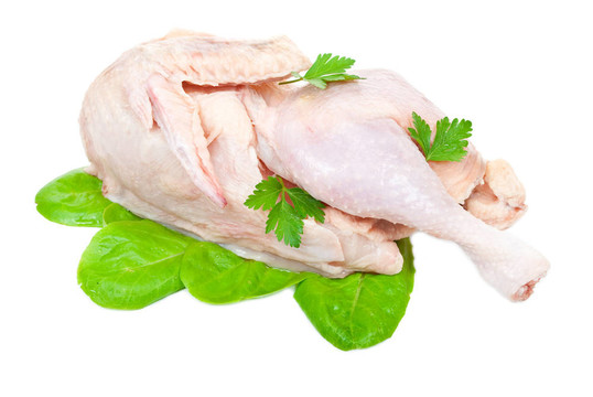 生雞肉