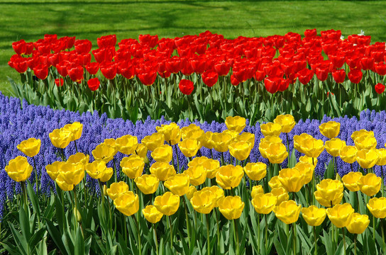 Keukenhof園林花壇