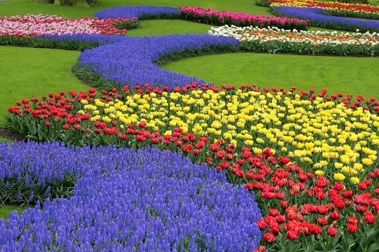 Keukenhof園林花壇