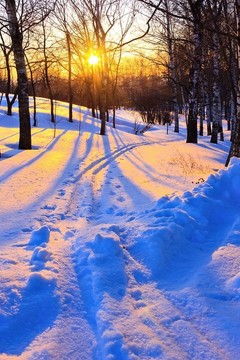 美麗的夕陽(yáng)在冬季公園