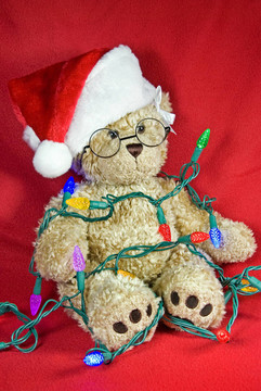 圣誕節(jié)Teddy Bear