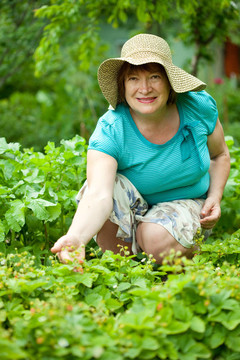 草莓成熟女人