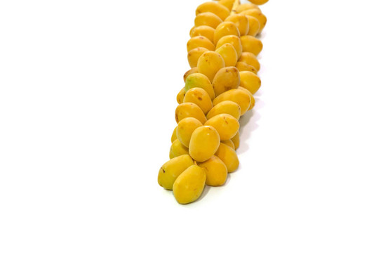 鮮棗果實