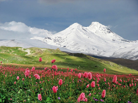 高加索山脈