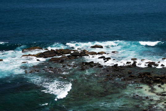 野生海