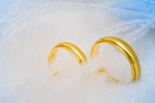 羽毛上的金色結(jié)婚戒指