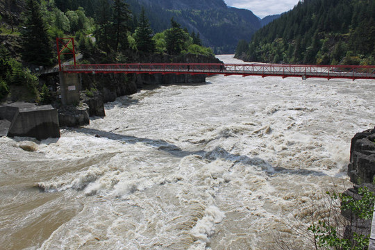 在弗雷澤河步行橋