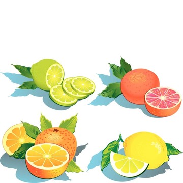 柑橘類(lèi)水果。