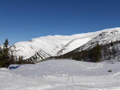 冬季滑雪區(qū)。