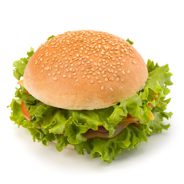 垃圾食品漢堡包