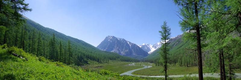 美麗的山