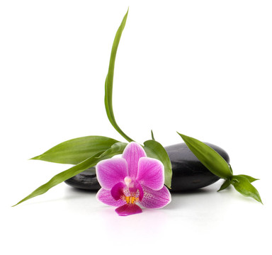水療與保健概念。蘭花與石頭。