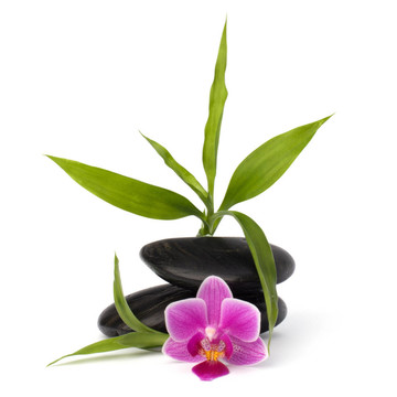 禪意平衡。水療與保健概念。