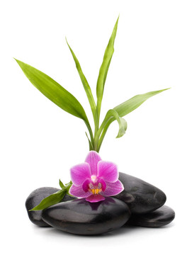 禪意平衡。水療與保健概念。