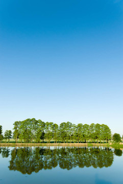 湖