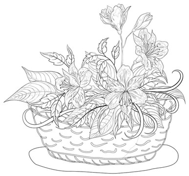 花籃；輪廓
