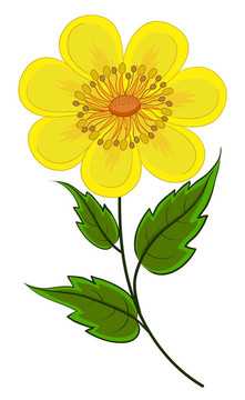 抽象的花朵