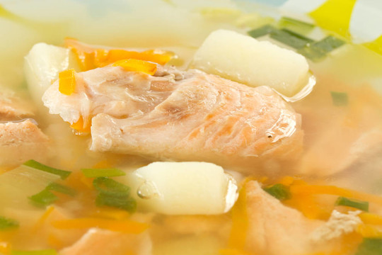 鮭魚湯