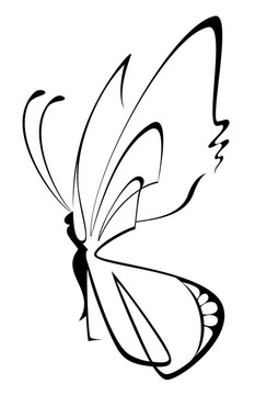 美麗的蝴蝶設(shè)計(jì)