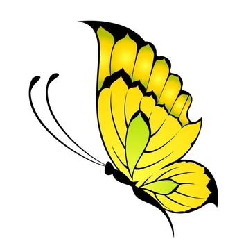 美麗的蝴蝶設(shè)計(jì)