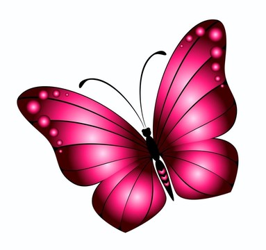 美麗的蝴蝶設(shè)計